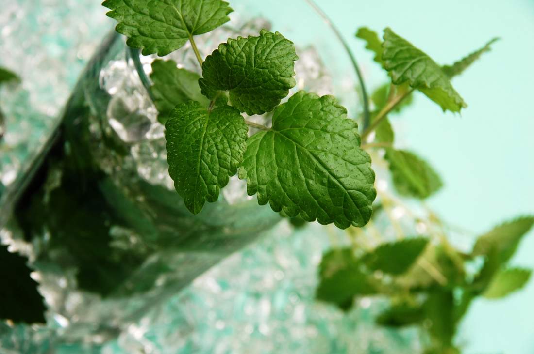Συνταγες : Κοκτειλ μοχιτο - Mojito