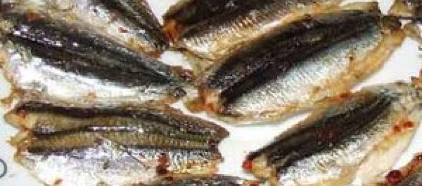 Γαύρος στο φούρνο - συνταγές μαγειρικής- θαλασσινά